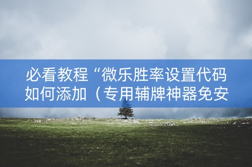 必看教程“微乐胜率设置代码如何添加（专用辅牌神器免安装）