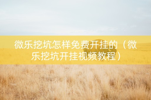 微乐挖坑怎样免费开挂的（微乐挖坑开挂视频教程）