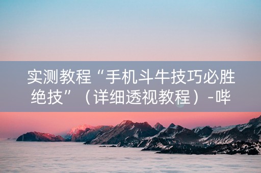 实测教程“手机斗牛技巧必胜绝技”（详细透视教程）-哔哩哔哩