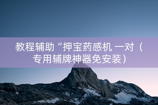 教程辅助“押宝药感机 一对（专用辅牌神器免安装）