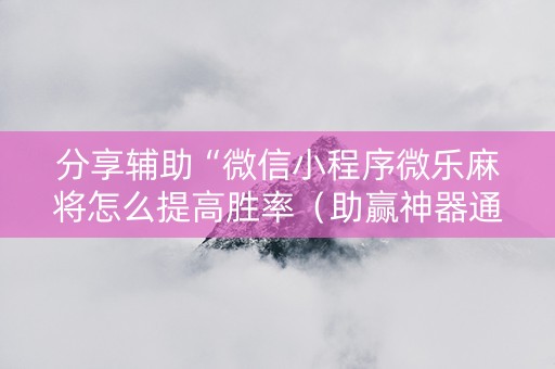 分享辅助“微信小程序微乐麻将怎么提高胜率（助赢神器通用版）