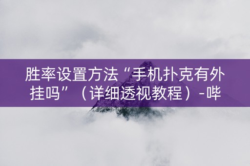 胜率设置方法“手机扑克有外挂吗”（详细透视教程）-哔哩哔哩