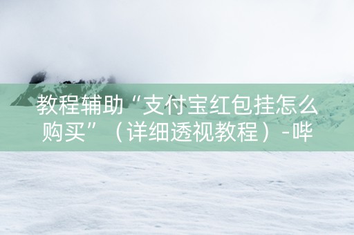 教程辅助“支付宝红包挂怎么购买”（详细透视教程）-哔哩哔哩