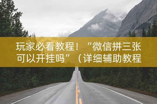 玩家必看教程！“微信拼三张可以开挂吗”（详细辅助教程）-哔哩哔哩