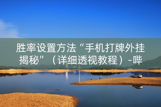 胜率设置方法“手机打牌外挂揭秘”（详细透视教程）-哔哩哔哩