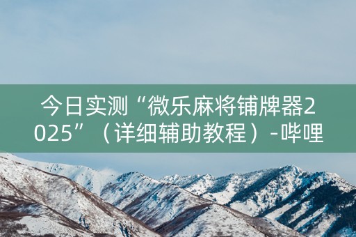 今日实测“微乐麻将铺牌器2025”（详细辅助教程）-哔哩哔哩
