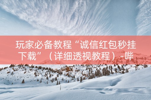 玩家必备教程“诚信红包秒挂下载”（详细透视教程）-哔哩哔哩