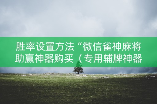 胜率设置方法“微信雀神麻将助赢神器购买（专用辅牌神器免安装）