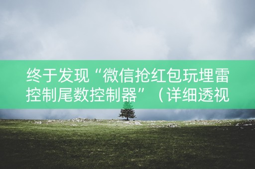 终于发现“微信抢红包玩埋雷控制尾数控制器”（详细透视教程）-哔哩哔哩