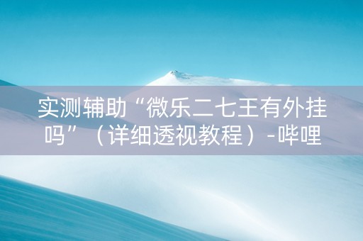 实测辅助“微乐二七王有外挂吗”（详细透视教程）-哔哩哔哩