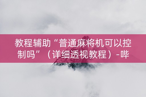教程辅助“普通麻将机可以控制吗”（详细透视教程）-哔哩哔哩