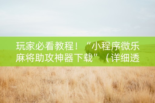 玩家必看教程！“小程序微乐麻将助攻神器下载”（详细透视教程）-哔哩哔哩