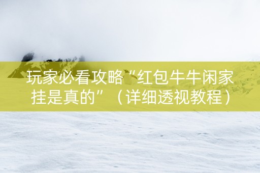 玩家必看攻略“红包牛牛闲家挂是真的”（详细透视教程）-哔哩哔哩