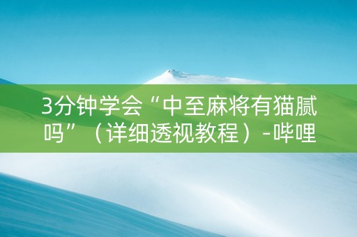 3分钟学会“中至麻将有猫腻吗”（详细透视教程）-哔哩哔哩