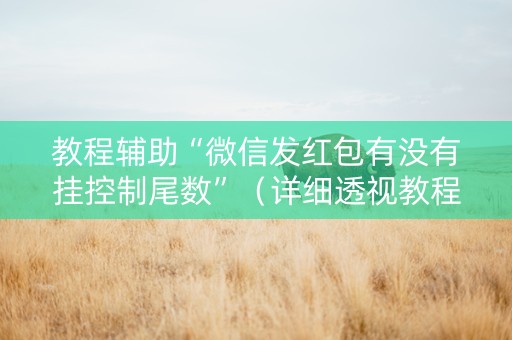 教程辅助“微信发红包有没有挂控制尾数”（详细透视教程）-哔哩哔哩