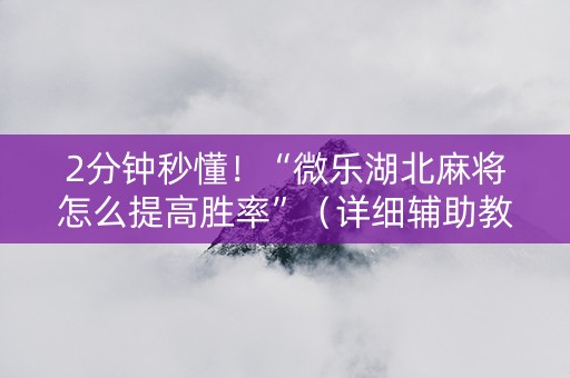 2分钟秒懂！“微乐湖北麻将怎么提高胜率”（详细辅助教程）-哔哩哔哩