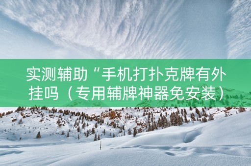 实测辅助“手机打扑克牌有外挂吗（专用辅牌神器免安装）