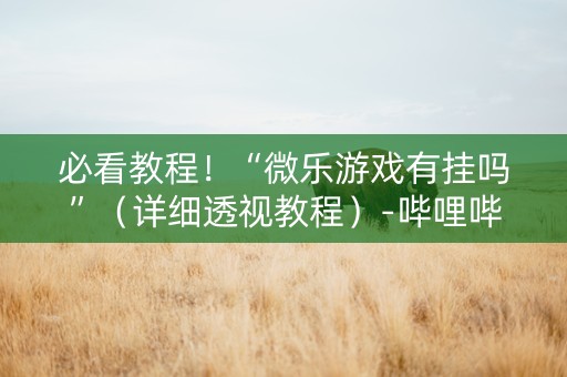 必看教程！“微乐游戏有挂吗”（详细透视教程）-哔哩哔哩