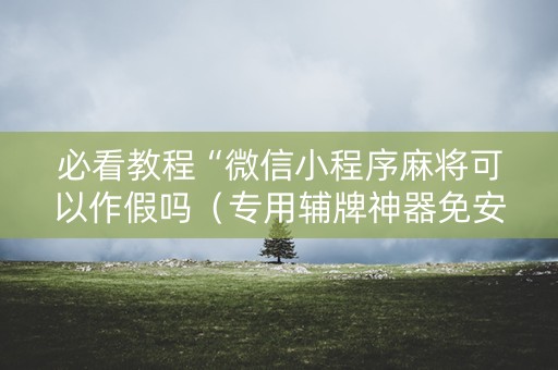 必看教程“微信小程序麻将可以作假吗（专用辅牌神器免安装）
