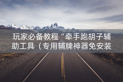 玩家必备教程“牵手跑胡子辅助工具（专用辅牌神器免安装）