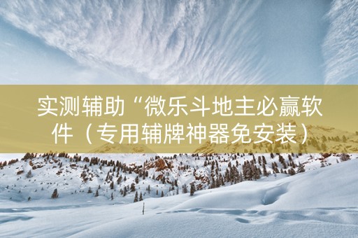 实测辅助“微乐斗地主必赢软件（专用辅牌神器免安装）