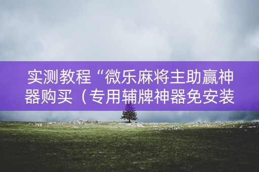 实测教程“微乐麻将主助赢神器购买（专用辅牌神器免安装）
