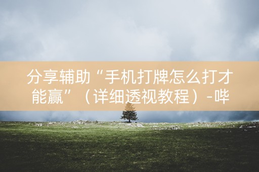 分享辅助“手机打牌怎么打才能赢”（详细透视教程）-哔哩哔哩
