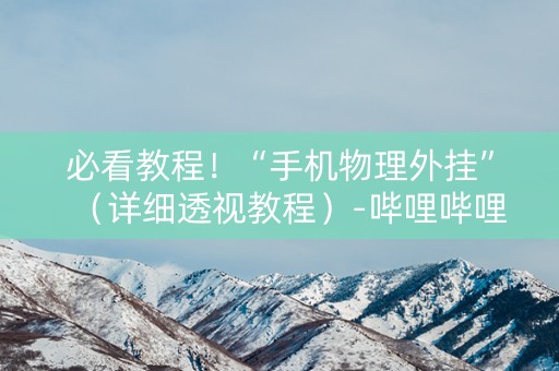 必看教程！“手机物理外挂”（详细透视教程）-哔哩哔哩