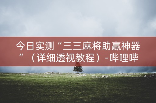 今日实测“三三麻将助赢神器”（详细透视教程）-哔哩哔哩