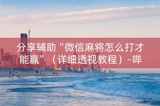 分享辅助“微信麻将怎么打才能赢”（详细透视教程）-哔哩哔哩