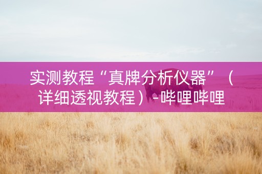 实测教程“真牌分析仪器”（详细透视教程）-哔哩哔哩