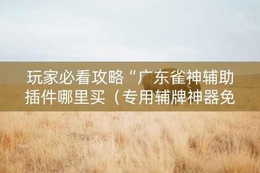 玩家必看攻略“广东雀神辅助插件哪里买（专用辅牌神器免安装）