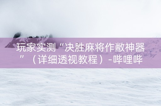 玩家实测“决胜麻将作敝神器”（详细透视教程）-哔哩哔哩