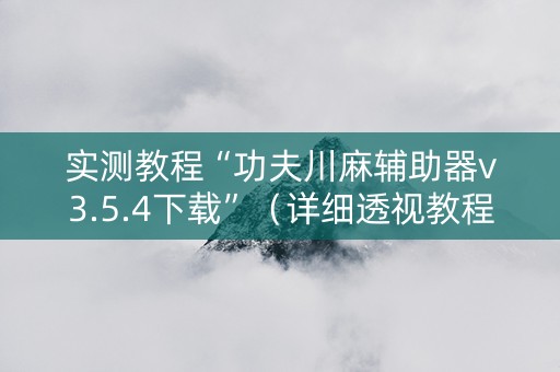 实测教程“功夫川麻辅助器v3.5.4下载”（详细透视教程）-哔哩哔哩