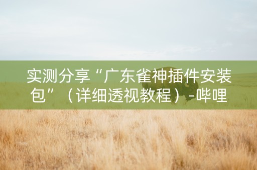 实测分享“广东雀神插件安装包”（详细透视教程）-哔哩哔哩