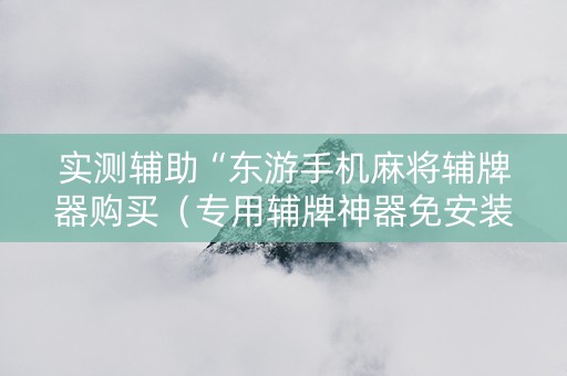 实测辅助“东游手机麻将辅牌器购买（专用辅牌神器免安装）