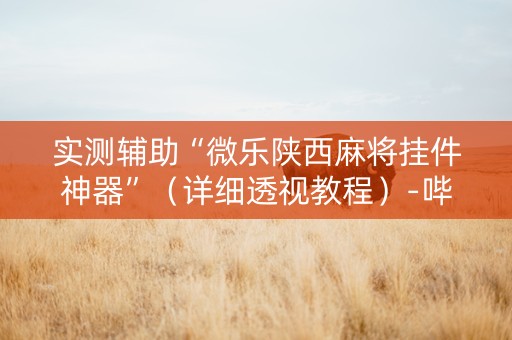 实测辅助“微乐陕西麻将挂件神器”（详细透视教程）-哔哩哔哩