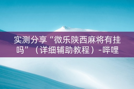 实测分享“微乐陕西麻将有挂吗”（详细辅助教程）-哔哩哔哩