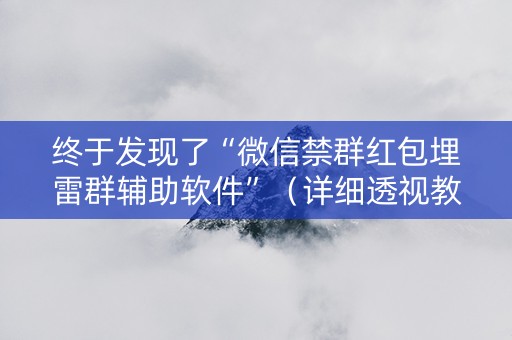 终于发现了“微信禁群红包埋雷群辅助软件”（详细透视教程）-哔哩哔哩