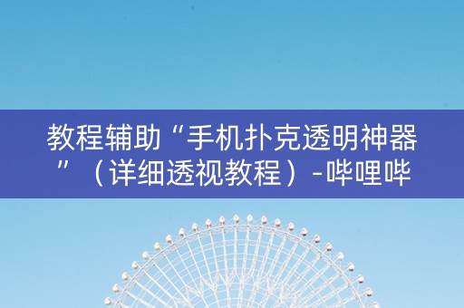 教程辅助“手机扑克透明神器”（详细透视教程）-哔哩哔哩