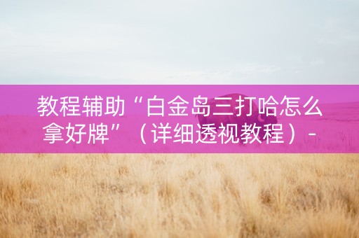 教程辅助“白金岛三打哈怎么拿好牌”（详细透视教程）-哔哩哔哩