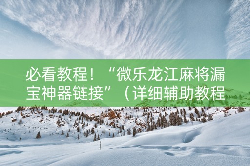 必看教程！“微乐龙江麻将漏宝神器链接”（详细辅助教程）-哔哩哔哩