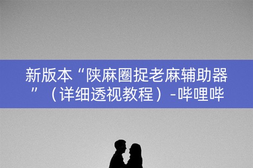 新版本“陕麻圈捉老麻辅助器”（详细透视教程）-哔哩哔哩