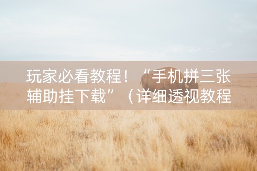玩家必看教程！“手机拼三张辅助挂下载”（详细透视教程）-哔哩哔哩