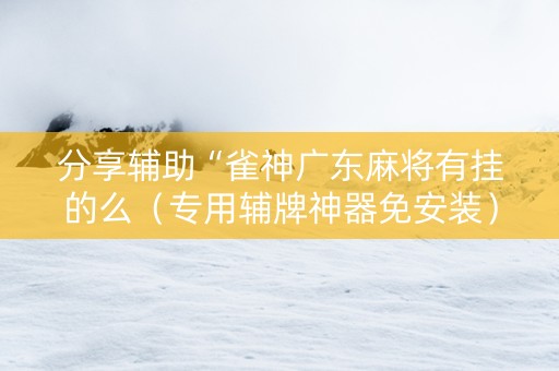 分享辅助“雀神广东麻将有挂的么（专用辅牌神器免安装）