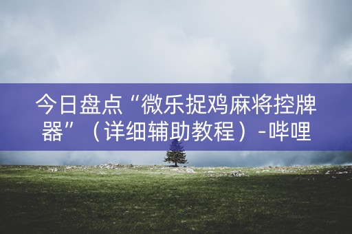 今日盘点“微乐捉鸡麻将控牌器”（详细辅助教程）-哔哩哔哩
