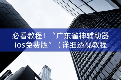 必看教程！“广东雀神辅助器ios免费版”（详细透视教程）-哔哩哔哩