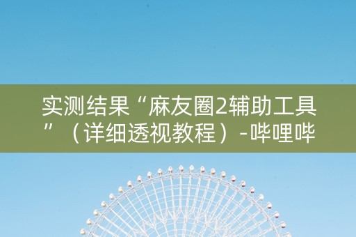 实测结果“麻友圈2辅助工具”（详细透视教程）-哔哩哔哩