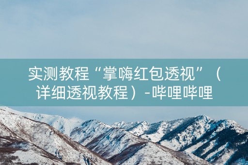 实测教程“掌嗨红包透视”（详细透视教程）-哔哩哔哩