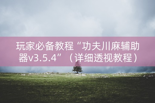 玩家必备教程“功夫川麻辅助器v3.5.4”（详细透视教程）-哔哩哔哩
